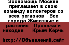 Зоопомощь.Москва приглашает в свою команду волонтёров со всех регионов - Все города Животные и растения » Пропажи и находки   . Крым,Керчь